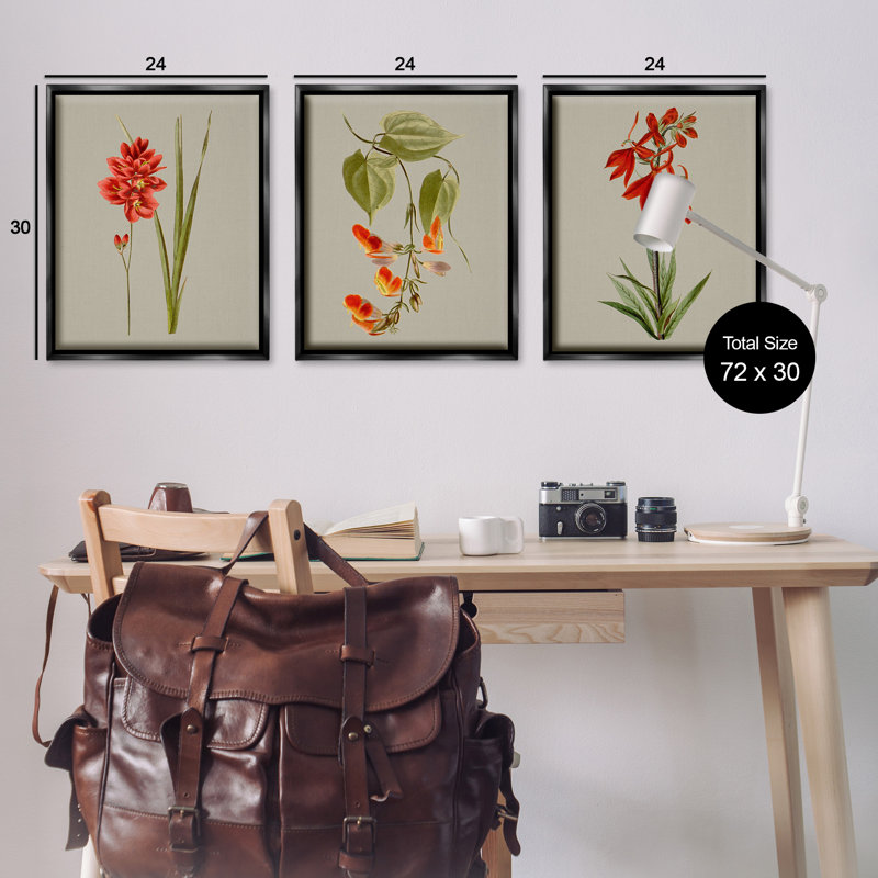 «Woodland Flower Study» par Vision Studio 3 - Pièces sur toile, Cadre flottant noir de jais, H 31 po x l 25 po