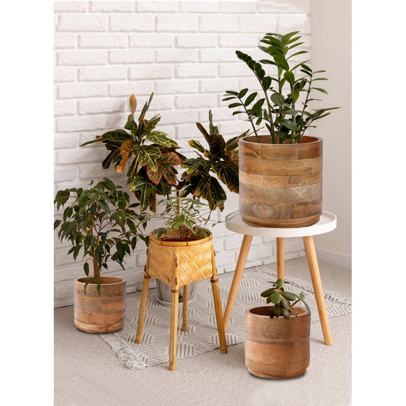Gaylor Wood Cachepot, 4.75" H x 4.5" W x 4.5" D