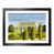 Black Framed selected