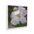 Opaque White Floater Framed