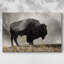 Toile tendue Geyser Basin-Gallery-1773927949