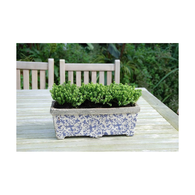 Aged Ceramic Balcony Planter