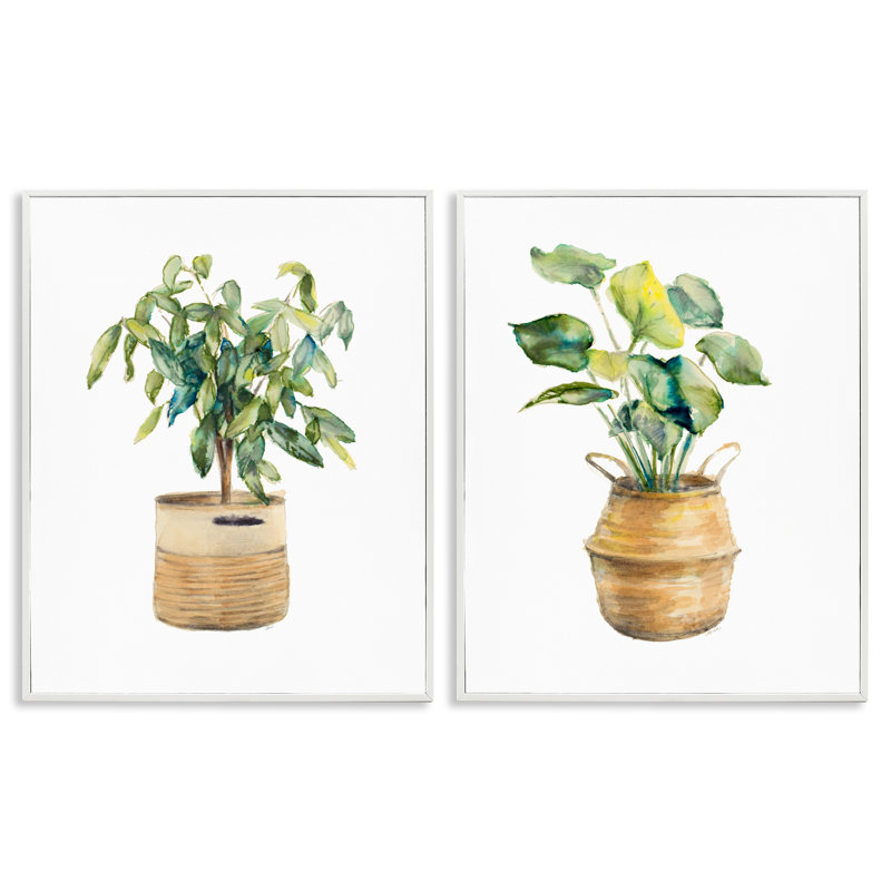 «Lush Houseplants in Wicker Pots», ensemble de 2 giclées encadrées par Lanie Loreth, Cadre blanc, H 30 po x l 24 po