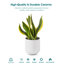 HDHPOT Ceramic Pot Planter