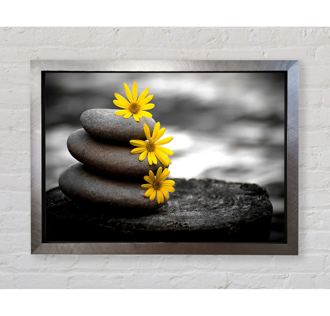 Zen Flowered Stones - Druck