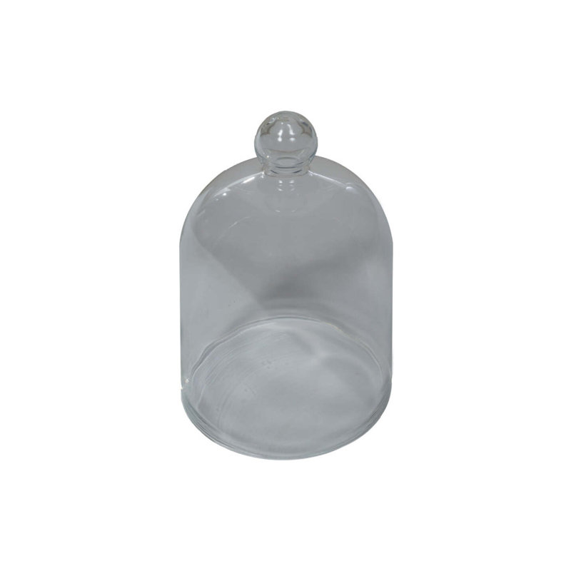 Glass Cloche Spice, Salt
