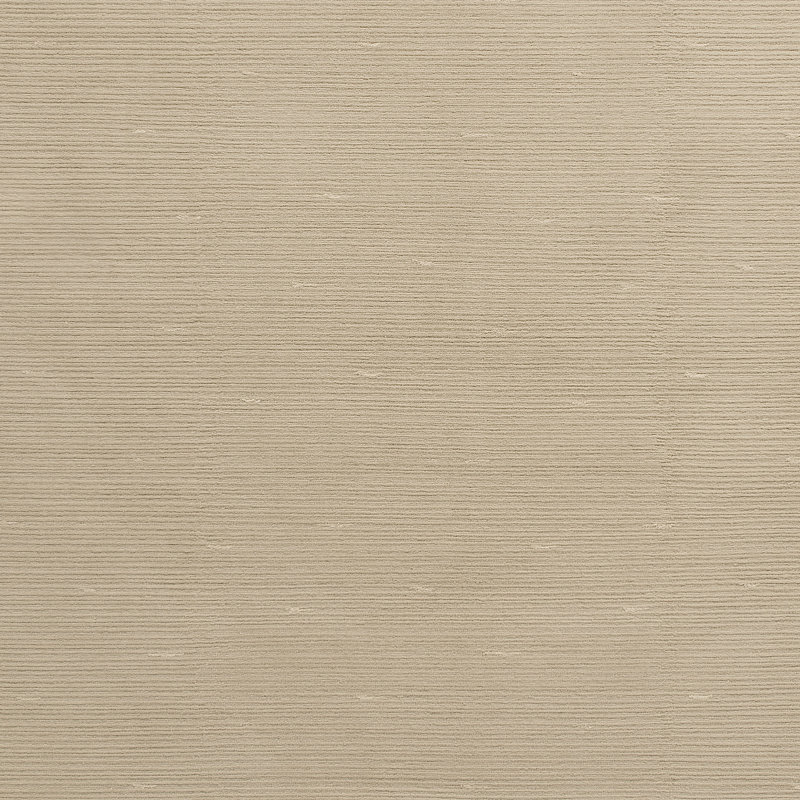 Area Rug in Beige, Rectangle 9' x 12'