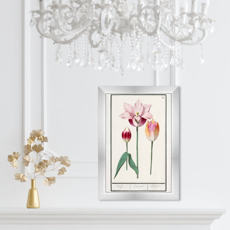 Pink Tulip Botanical Study by Oliver Gal, 17" H x 12" W, Silver