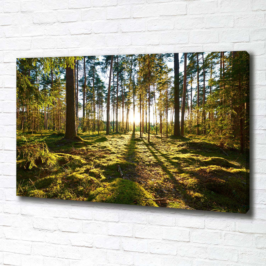 A Pine Forest - Kunstdrucke auf Leinwand - Wrapped Canvas