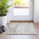 Alfonzo Machine-Washable Stain Resistant Abstract Area Rug