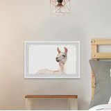 Agate 'Hey There Llama' Framed Print
