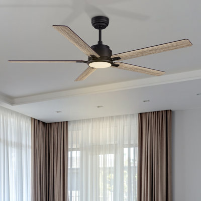 Amonette 60'' Ceiling Fan with LED Lights