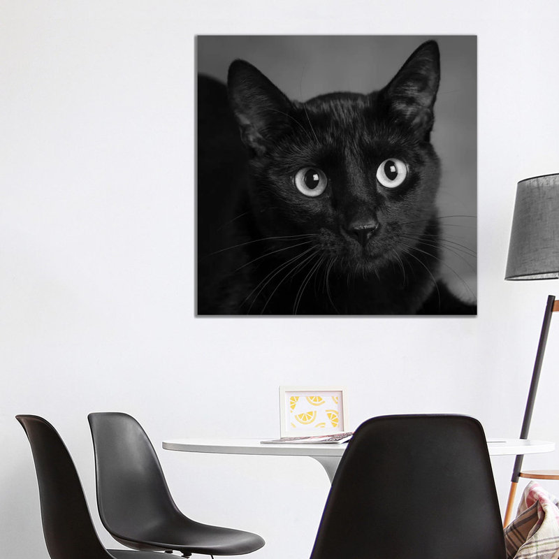 Portrait Of A Black Cat - Wrapped Canvas Print, 93.98 cm H x 93.98 cm W x 1.91 cm D