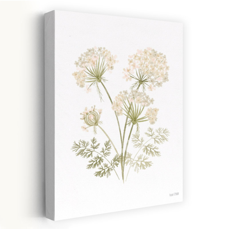 Anne's Lace I, art contemporain de fleur abstrait, H 36 po x l 24 po