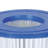 Coleman Bestway Filter in Blue/White