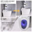 Toilette allongée intelligente, chasse double 1,1 / 1,6 GPF, siège chauffant, chasse au pied / hors siège / occultant, veilleuse, fermeture douce
