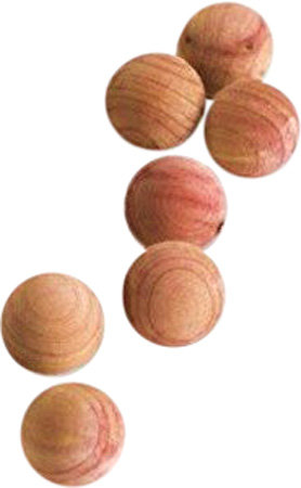 Woodsy