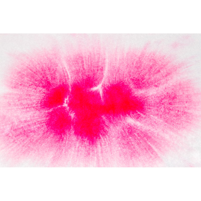 Abstract WaterColour Background by Phifay - Wrapped Canvas Print, 51cm H x 76cm W x 3.8cm D