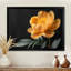 Pivoine moderne moderne monochrome - pivoines murales, salon-356228635-356228640