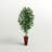 60'' Faux Ficus Tree in Wood Planter