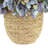 Carytown 14 " Polysilk Arrangement-1499773842