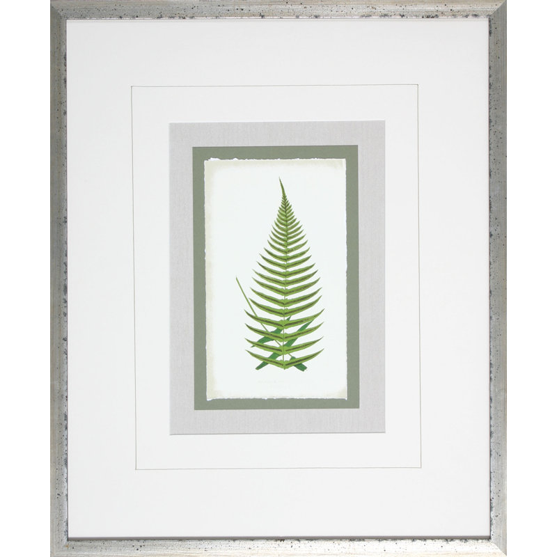 Fern1 - Cadre photo, impression sur papier