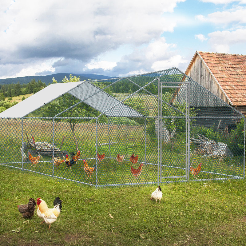 Emmeric Walk In Chicken Run, H 78 po x l 236 po x P 117 po, Argent
