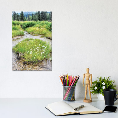 Alaska Marshland by Savanah Plank - Gallery-Wrapped Canvas Giclée on Canvas