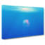 Jellyfish In Pink & Blue With Sunlight - Wrapped Canvas Painting-55362813