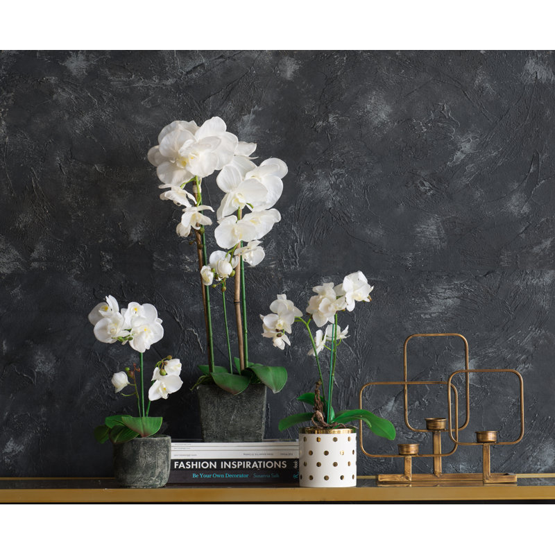 Arrangement floral de bureau orchidées en pot