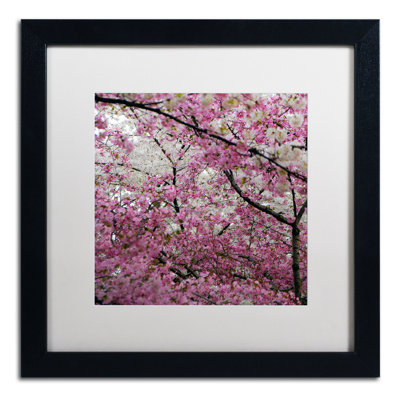 «Cherry Blossoms 2014-3» par CATeyes, Khosrov, reproduction de photo encadrée