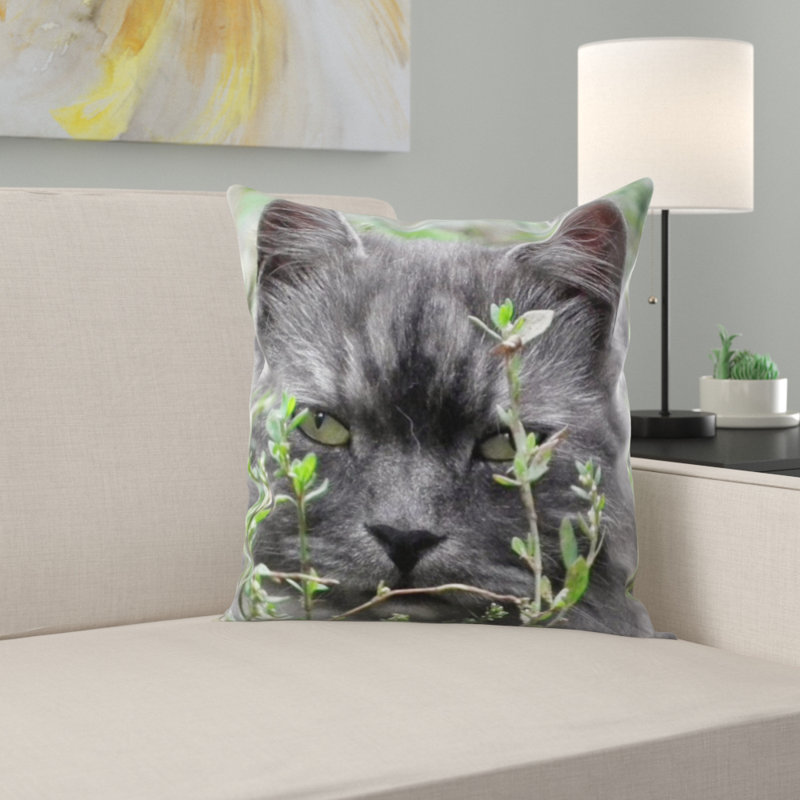 Coussin pour chat