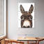 Brampt Peeking Donkey-108535578