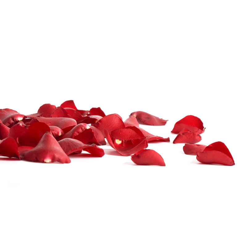 Pétales de rose par Emrah_Oztas, H 8 po x l 12 po