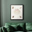 Pastel Knorr Shells IV, toile encadrée de qualité supérieure - prête à être accrochée-1050935547-1050935546