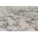 Bullis Floral Indoor Rug