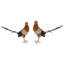 2 Piece Fancy Pheasant Set