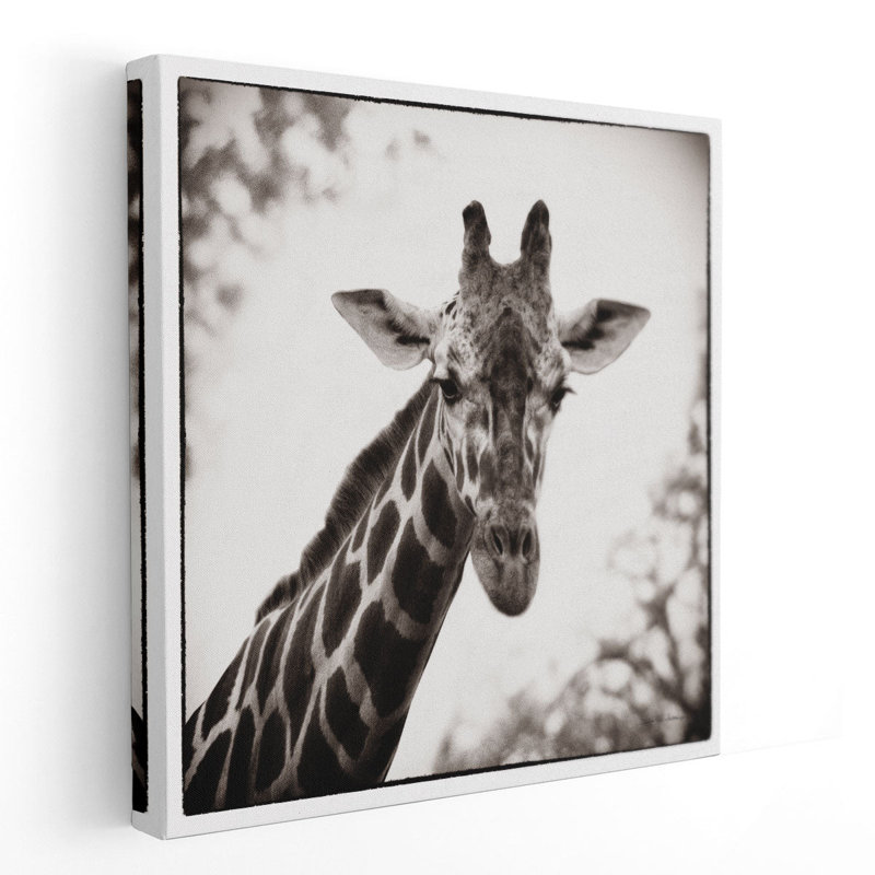 Girafe I - reproduction d'art sur toile, H 40 po x l 40 po