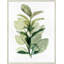 Fresh Market 1 Print