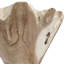 Table de boisson Uttermost Coastwood
