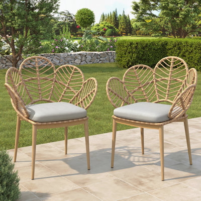 Chaise d'extérieur en osier, ensemble de 2