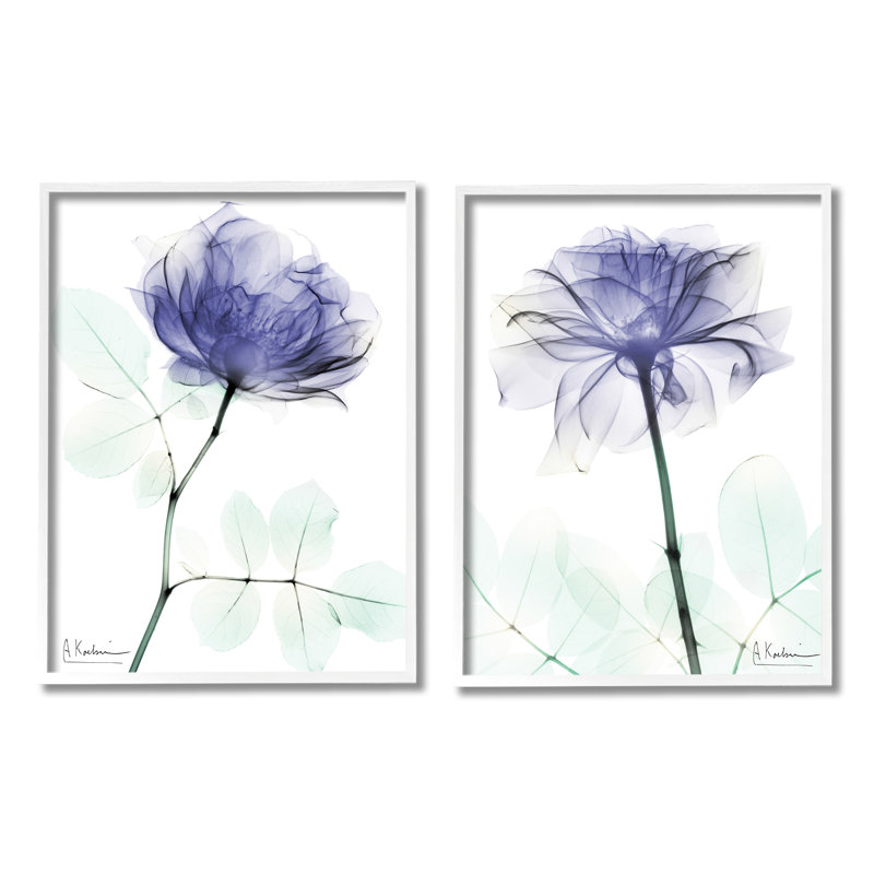 Rose mauve moderne, photographie unique, 2 pièces, par Albert Koetsier, L 11 po x H 14 po, Giclée encadrée blanc bord de mer