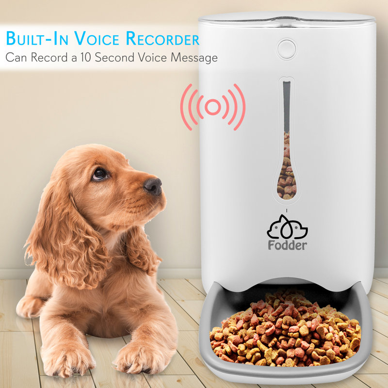 Mangeoire automatique pour chat et chien électronique