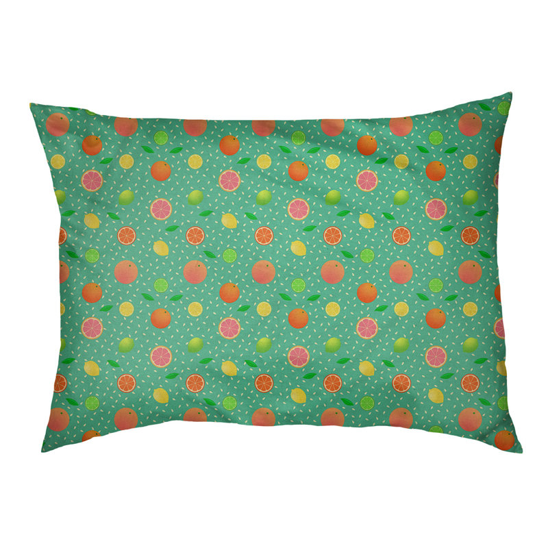 Coussin pour chien agrume fruit Byrge, Moyen (l 30 po x P 20 po x H 10 po), Bleu-vert / orange / jaune
