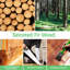 Bordure de clôture de jardin en bois H 7 po x l 33 po