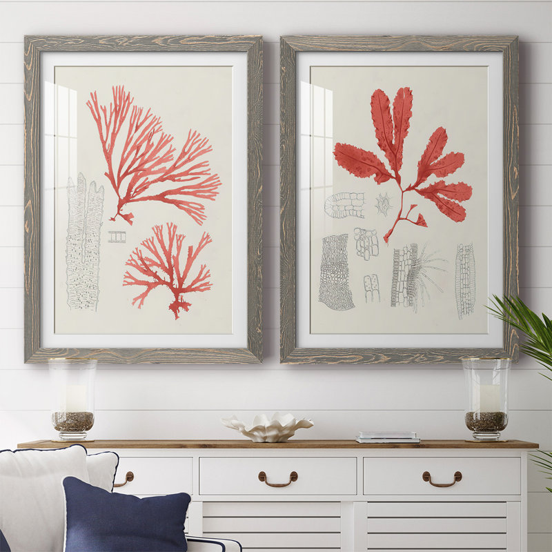 Étude de corail rétro I-Premium, reproduction encadrée - prête à être accrochée, H 31,5 po x l 88 po x P 1,5 po, Gris