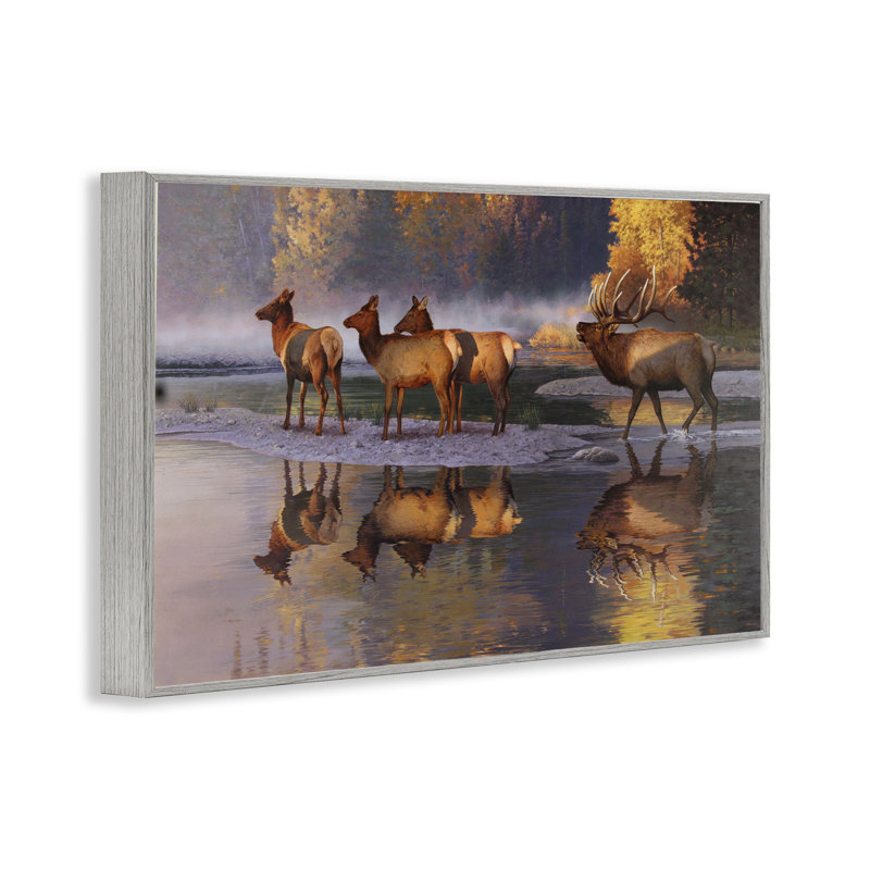 Art de giclée «Elk Family» par Rod Lawrence, Estampe numérique Farmhouse, H 16 po x l 24 po