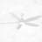 Dainius 60'' Ceiling Fan with LED Lights-1476130425