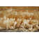 Monaco Solid Colour Hand Woven Area Rug