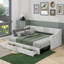 Lit de jour rembourré simple TG avec très grand lit avec tiroirs-79084133